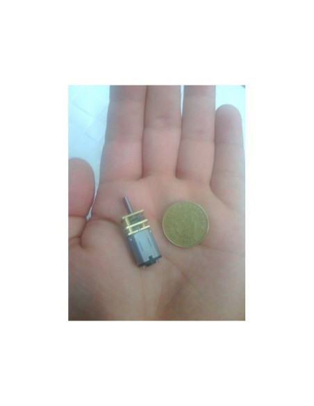 Micro Motorreductor N20  3v~6V 600RPM