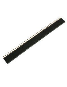 Regleta Hembra 1x40.