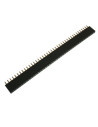 Regleta Hembra 1x40.