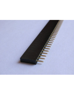 Regleta Hembra 1x40. 2
