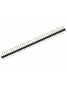 Regleta Macho 1x40
