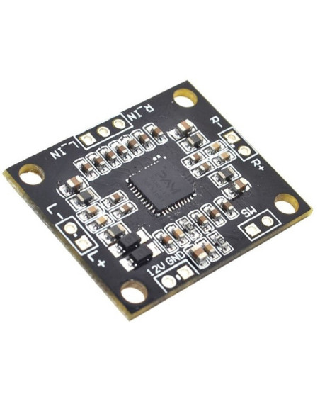 Amplificador Estereo Pam8610 2x15w