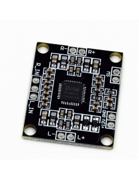 Amplificador Estereo Pam8610 2x15w, 12V