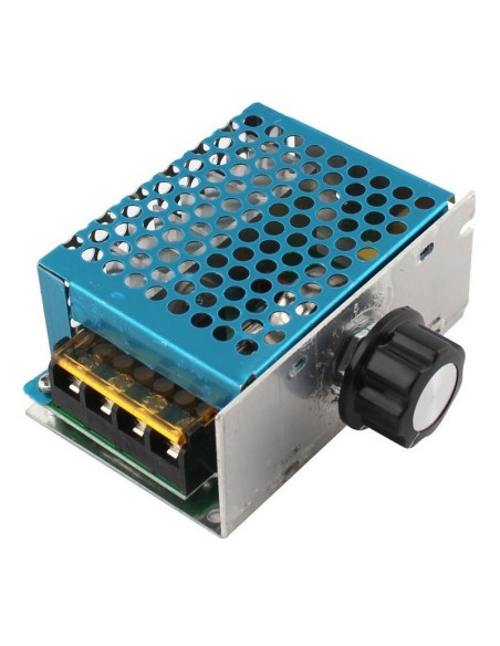 Modulo Dimmer 4000W, 110~220VAC