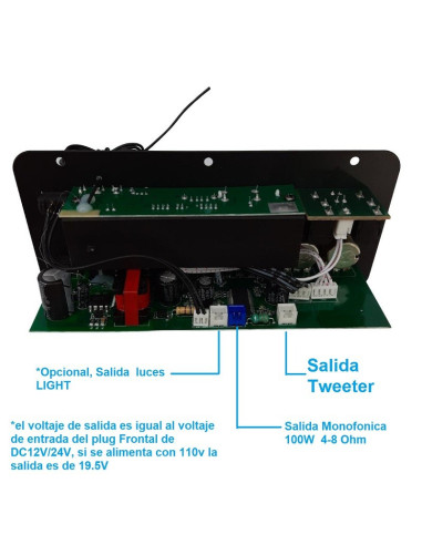 Modulo  Amplificador Monofonico 100W...