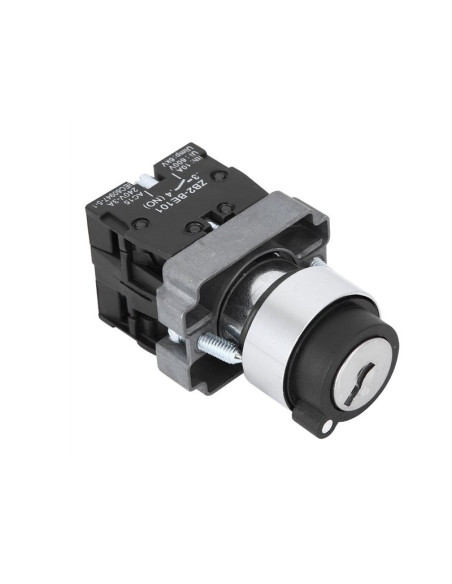 Switch Interruptor con llave 2 Contactos NO, On-Off-On